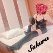 ヒメ日記 2026/03/31 19:00 投稿 サクラ 玉乱☆痴（たまらんち）