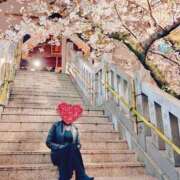 ヒメ日記 2026/03/31 20:14 投稿 サクラ 玉乱☆痴（たまらんち）