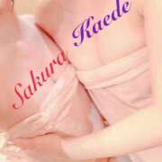 ヒメ日記 2026/04/11 11:09 投稿 サクラ 玉乱☆痴（たまらんち）