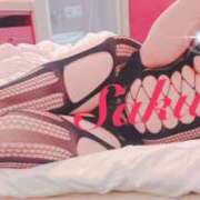 サクラ 天気良すぎて 玉乱☆痴（たまらんち）