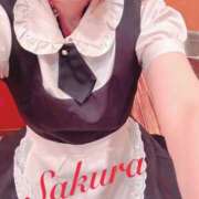 ヒメ日記 2026/10/03 15:36 投稿 サクラ 玉乱☆痴（たまらんち）