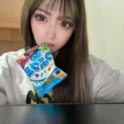 ナツキ あなただけのペット 姫路ラビット