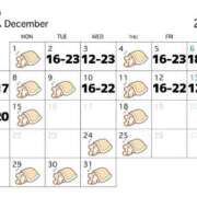 ヒメ日記 2025/12/01 15:00 投稿 まどか☆正統派のかわいい！ JKサークル