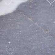 ヒメ日記 2025/11/08 09:30 投稿 ひので ウルトラグレイス24