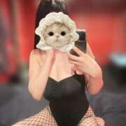 ヒメ日記 2025/06/09 16:33 投稿 アヤネ バニーコレクション秋田店