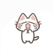 ヒメ日記 2024/12/24 08:01 投稿 まふゆ チェリーデイズ新宿店