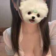 ヒメ日記 2024/12/21 14:59 投稿 えな ハイブリッドヘルス小岩中央