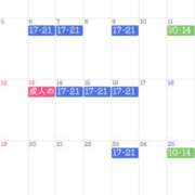 ヒメ日記 2024/12/17 21:41 投稿 美麗(みれい) Chaleur (シャルール)