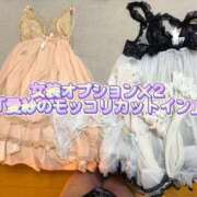 ヒメ日記 2026/01/30 00:50 投稿 愛紗 東京シーメール倶楽部　新宿店