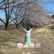 ヒメ日記 2025/04/08 10:10 投稿 ともこ 豊満熟女