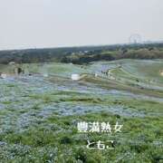 ヒメ日記 2025/04/19 22:40 投稿 ともこ 豊満熟女