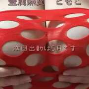 ヒメ日記 2025/04/29 12:08 投稿 ともこ 豊満熟女