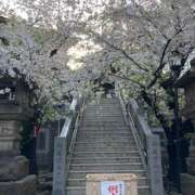 ヒメ日記 2025/05/10 00:12 投稿 ともこ 豊満熟女