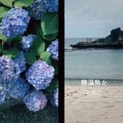 ヒメ日記 2025/06/16 12:40 投稿 ともこ 豊満熟女