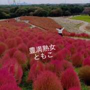 ヒメ日記 2025/10/31 19:36 投稿 ともこ 豊満熟女