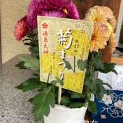 ヒメ日記 2025/11/15 17:24 投稿 ともこ 豊満熟女