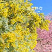 ヒメ日記 2026/03/04 23:26 投稿 ともこ 豊満熟女