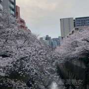 ヒメ日記 2026/03/30 11:38 投稿 ともこ 豊満熟女