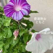 ヒメ日記 2026/08/31 10:40 投稿 ともこ 豊満熟女
