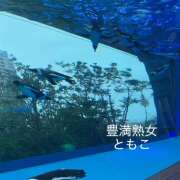 ヒメ日記 2026/09/06 09:22 投稿 ともこ 豊満熟女