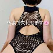 ヒメ日記 2026/02/19 17:12 投稿 花形 京子 30代40代50代と遊ぶなら博多人妻専科24時