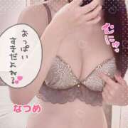 ヒメ日記 2026/02/11 14:18 投稿 なつめ かりんと秋葉原