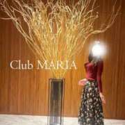 ヒメ日記 2026/04/03 12:13 投稿 YUKI【ユキ】 club MARIA(大阪)