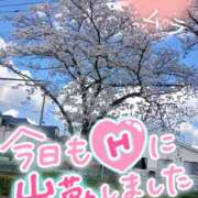 ヒメ日記 2024/04/07 15:57 投稿 あやか 若妻淫乱倶楽部　越谷店