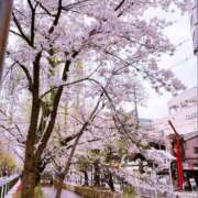 ヒメ日記 2026/04/03 09:55 投稿 飯沢しょうこ ホットポイントヴィラ