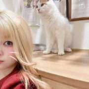 ヒメ日記 2024/12/15 00:29 投稿 ゆあ　 恋人感覚の衝撃快感 よかろうもん下関本店