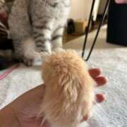 ヒメ日記 2025/02/18 13:09 投稿 ゆあ　 恋人感覚の衝撃快感 よかろうもん下関本店