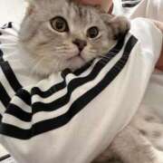 ヒメ日記 2025/02/19 23:30 投稿 ゆあ　 恋人感覚の衝撃快感 よかろうもん下関本店