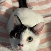 ヒメ日記 2025/04/29 00:10 投稿 ゆあ　 恋人感覚の衝撃快感 よかろうもん下関本店