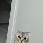 ヒメ日記 2025/05/26 10:39 投稿 ゆあ　 恋人感覚の衝撃快感 よかろうもん下関本店