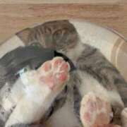 ヒメ日記 2025/09/09 11:29 投稿 ゆあ　 恋人感覚の衝撃快感 よかろうもん下関本店