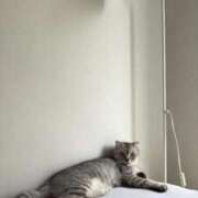 ヒメ日記 2025/09/13 04:59 投稿 ゆあ　 恋人感覚の衝撃快感 よかろうもん下関本店