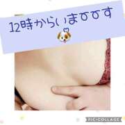 ヒメ日記 2025/03/13 10:01 投稿 高村-たかむら- ミセスまーと