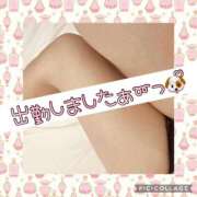 ヒメ日記 2025/03/17 12:08 投稿 高村-たかむら- ミセスまーと