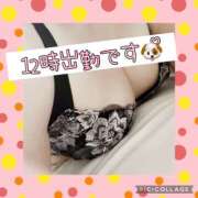 ヒメ日記 2025/03/20 08:56 投稿 高村-たかむら- ミセスまーと