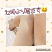 ヒメ日記 2025/03/21 08:52 投稿 高村-たかむら- ミセスまーと