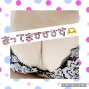 ヒメ日記 2025/03/21 13:53 投稿 高村-たかむら- ミセスまーと