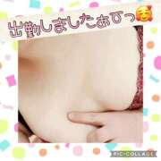 ヒメ日記 2025/03/25 10:44 投稿 高村-たかむら- ミセスまーと