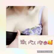 ヒメ日記 2025/03/25 13:29 投稿 高村-たかむら- ミセスまーと