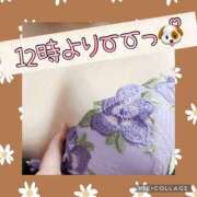 ヒメ日記 2025/03/26 09:34 投稿 高村-たかむら- ミセスまーと