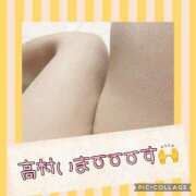 ヒメ日記 2025/03/26 11:49 投稿 高村-たかむら- ミセスまーと