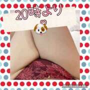 ヒメ日記 2025/04/02 17:56 投稿 高村-たかむら- ミセスまーと