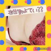 ヒメ日記 2025/04/04 10:31 投稿 高村-たかむら- ミセスまーと