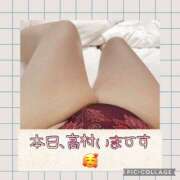 ヒメ日記 2025/04/04 17:27 投稿 高村-たかむら- ミセスまーと