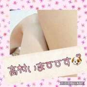 ヒメ日記 2025/04/04 19:12 投稿 高村-たかむら- ミセスまーと