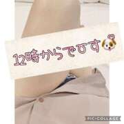 ヒメ日記 2025/04/10 11:36 投稿 高村-たかむら- ミセスまーと